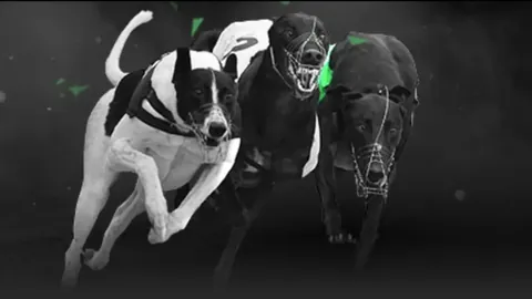 NBA常规赛：勇士击败太阳