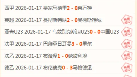 国米今夏宜出售塔雷米，阿瑙托维奇将担纲第三前锋